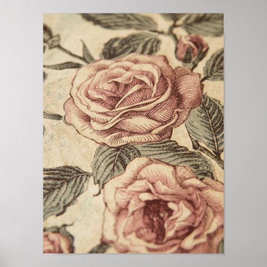 Rose Garden Sketch ポスター (正面)