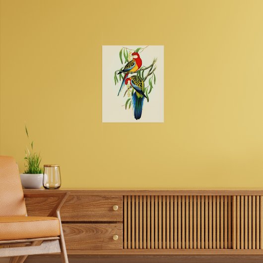 Rose-Hill Parakeet by Elizabeth Gould, ポスター (リビング2)