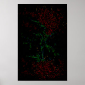 Rose in the dark ポスター