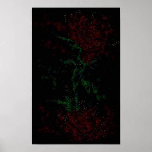 Rose in the dark ポスター (正面)