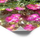 Rose Love ポスター (角)