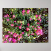 Rose Love ポスター (正面)