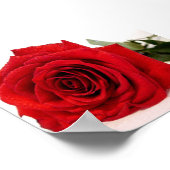 Rose Love Canvas Print ポスター (角)