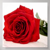 Rose Love Canvas Print ポスター (正面)