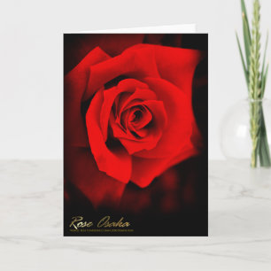 Rose Osaka シーズンカード