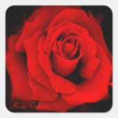 Rose Osaka：Square Seal スクエアシール (正面)