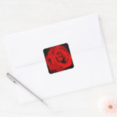 Rose Osaka：Square Seal スクエアシール (封筒)