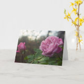 Rose Photo Standard, 5" x 7" Folded Greeting Card カード (黄色い花)