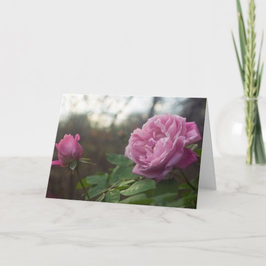 Rose Photo Standard, 5" x 7" Folded Greeting Card カード (正面)