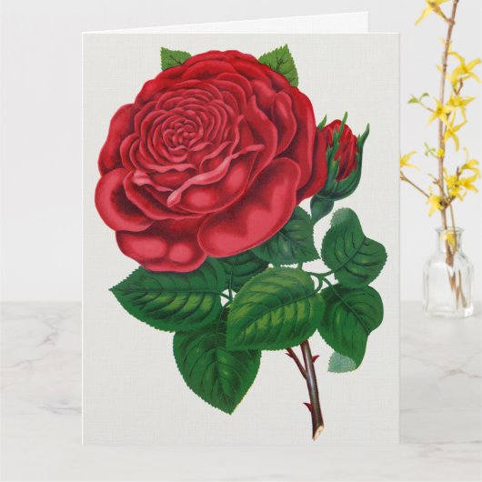 Rose Print Rochester Lithographing and Printing Co カード (黄色い花)