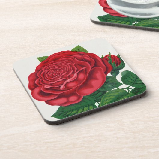 Rose Print Rochester Lithographing and Printing Co コースター (左側)