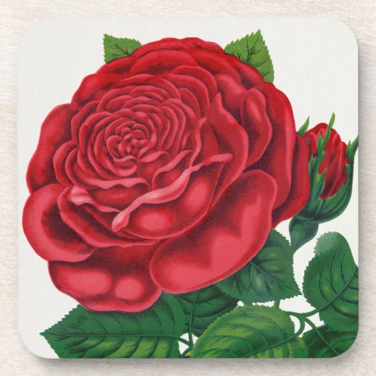 Rose Print Rochester Lithographing and Printing Co コースター (正面)