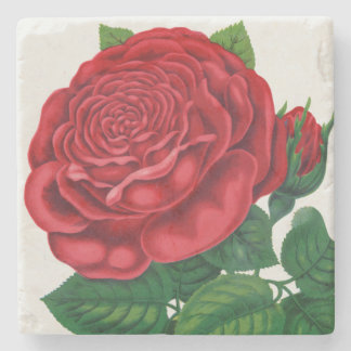 Rose Print Rochester Lithographing and Printing Co ストーンコースター