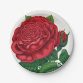 Rose Print Rochester Lithographing and Printing Co ペーパープレート (正面)