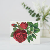 Rose Print Rochester Lithographing and Printing Co ポストカード (スタンド正面)