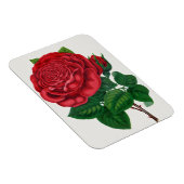 Rose Print Rochester Lithographing and Printing Co マグネット (右側)
