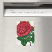 Rose Print Rochester Lithographing and Printing Co マグネット (インサイチュ (食洗機))