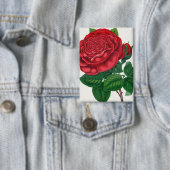 Rose Print Rochester Lithographing and Printing Co 缶バッジ (インサイチュ)