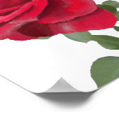 Rose rouge - peinte à la main ポスター (角)