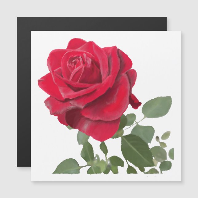  Rose rouge peinture (正面/裏面)