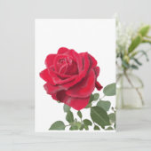  Rose rouge - symbole d’amour 招待状 (スタンド正面)