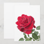  Rose rouge - symbole d’amour 招待状 (正面/裏面)
