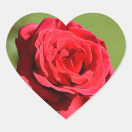 Rose Stickers ハートシール