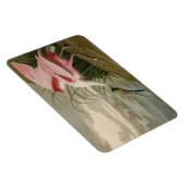 Roseate Spoonbill(オードボンのアメリカの鳥から) マグネット (右側)