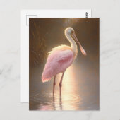 Roseate Spoonbill ポストカード (正面/裏面)