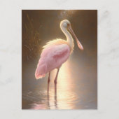 Roseate Spoonbill ポストカード (正面)