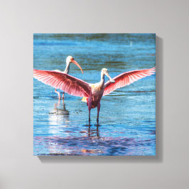 Roseate Spoonbill 12インチx 12インチキャンバスプリント キャンバスプリント