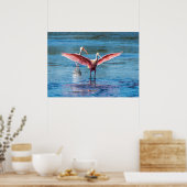 Roseate Spoonbill 28 x 20アーカイブ重いWgt紙 ポスター (キッチン)