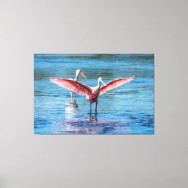 ROSEATE SPOONBILL 60 X 40キャンバスプリントプリント キャンバスプリント