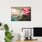 Roseate Spoonbill by John James Audubon ポスター (ホームオフィス)