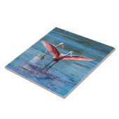 Roseate Spoonbill Large 6" X 6"フォトタイル タイル (側面)