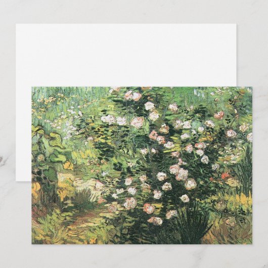 Rosebush in Blossom by Vincent vanゴッホ 招待状 (正面/裏面)