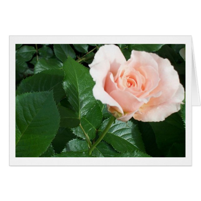 RoseCard (正面横)