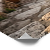 Rosemary Goat Terrace Glow ポスター (角)