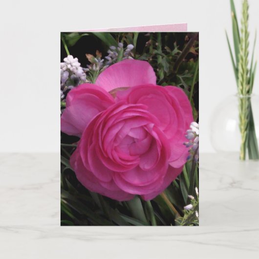 RoseRed… カード (正面)