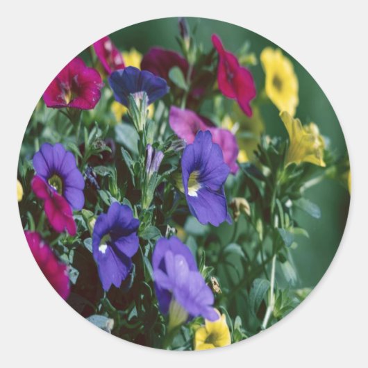 roses are smart ラウンドシール (正面)