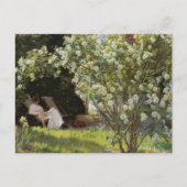 Roses. Marie Krøyer seated in the deckchair ポストカード (正面)