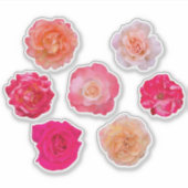 Roses Vinyl Sticker Set – 7 Unique Blooms シール (正面)