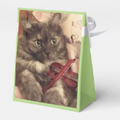 RoseWritesによるミュージシャンのFavorites Box用 フェイバーボックス (裏面サイド)