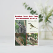 RoseWritesによる赤ひげ筋の球根テスト ポストカード (スタンド正面)