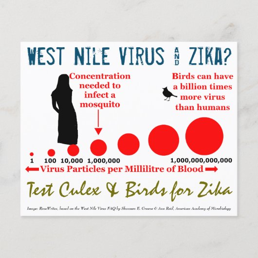 RoseWritesによるCulex & Birdsの両面フライヤーのテスト チラシ (正面)