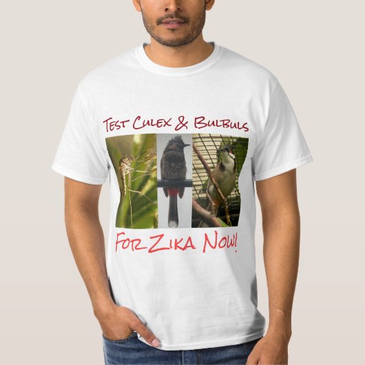 RoseWritesによるCulex & Bulbulbsシャツのテスト Tシャツ (正面)