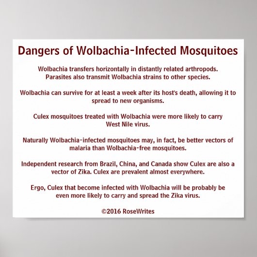 RoseWritesによるWolbachia Mosquitesの危険性 ポスター (正面)