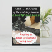 RoseWritesリラックスによるパーティー招待状(Cat) 招待状 (スタンド正面)