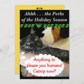 RoseWritesリラックスによるパーティー招待状(Cat) 招待状 (正面/裏面)