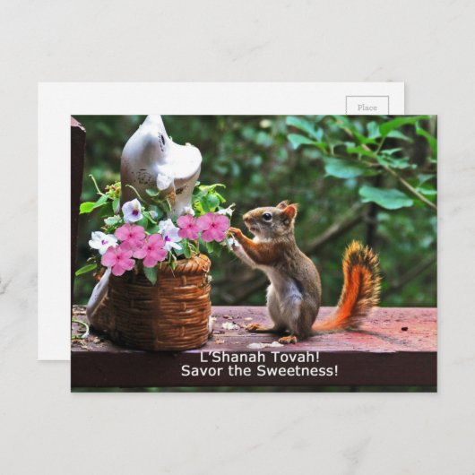 Rosh Hashanahはギフトを梳きます シーズンポストカード (正面/裏面)